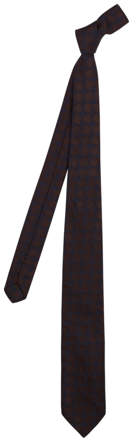 BLUE/BROWN CM TIE