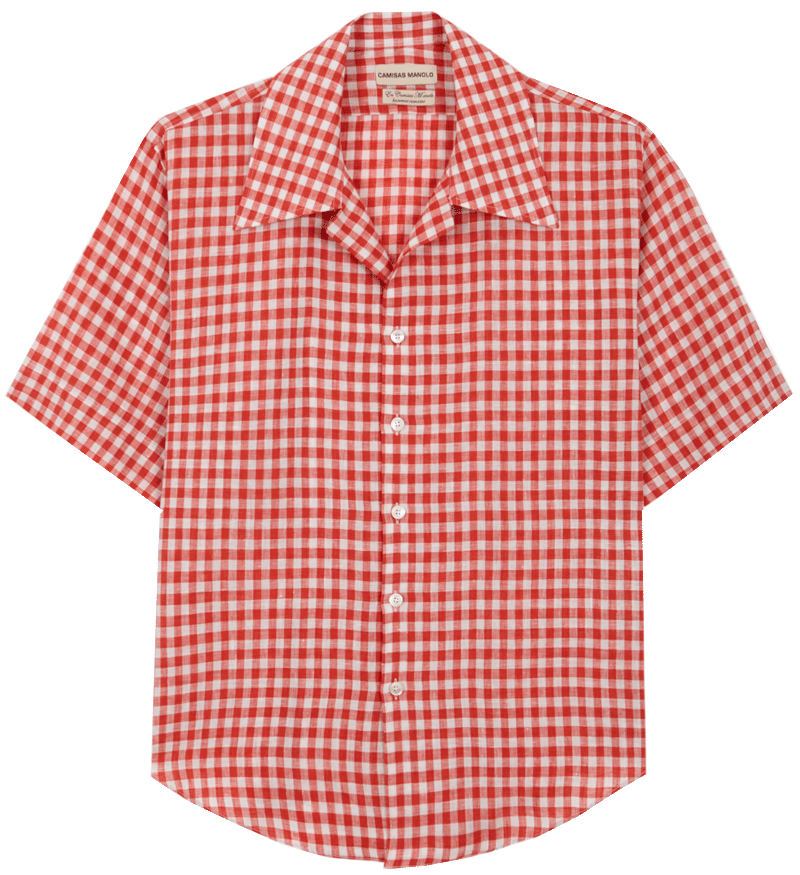 RED Gingham Check School shirt